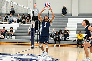 Volleyball Game